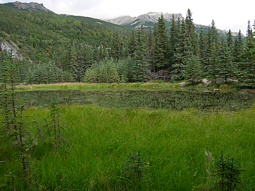 Denali National Park and Preserve, Alaska