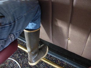 Alaskan sourdough wears her sneakers most days, even to a community dance