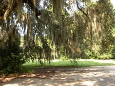 Author, Speaker, Workshop Leader